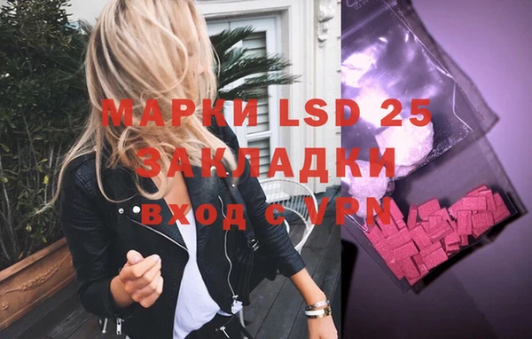 стаф Абинск