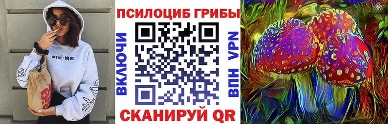 Галлюциногенные грибы мицелий  mega онион  Нюрба 